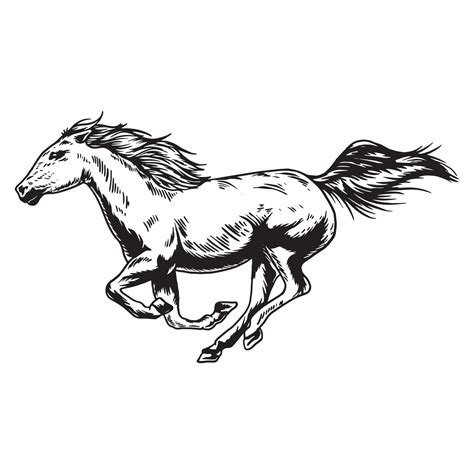 horse vector art|horse graphics free.